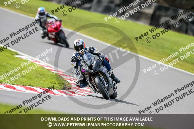 Oulton Park 21st March 2020;PJ Motorsport Photography 2020;anglesey;brands hatch;cadwell park;croft;donington park;enduro digital images;event digital images;eventdigitalimages;mallory;no limits;oulton park;peter wileman photography;racing digital images;silverstone;snetterton;trackday digital images;trackday photos;vmcc banbury run;welsh 2 day enduro